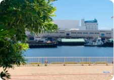脇浜海岸通公園