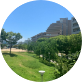 摩耶海岸通公園