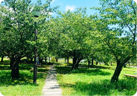 脇浜海岸通公園